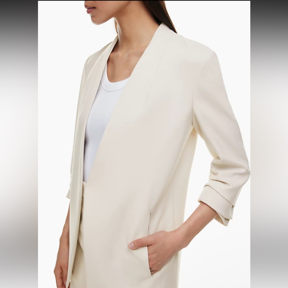 Aritzia Babaton blazer